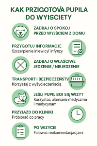 Jak przygotować pacjenta do wizyty u weterynarza - zdjęcie 1